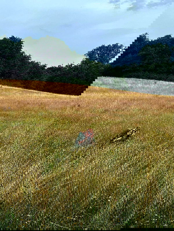 yoo.mon yoo.mon archive image