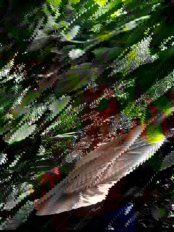 yoo.mon yoo.mon archive image