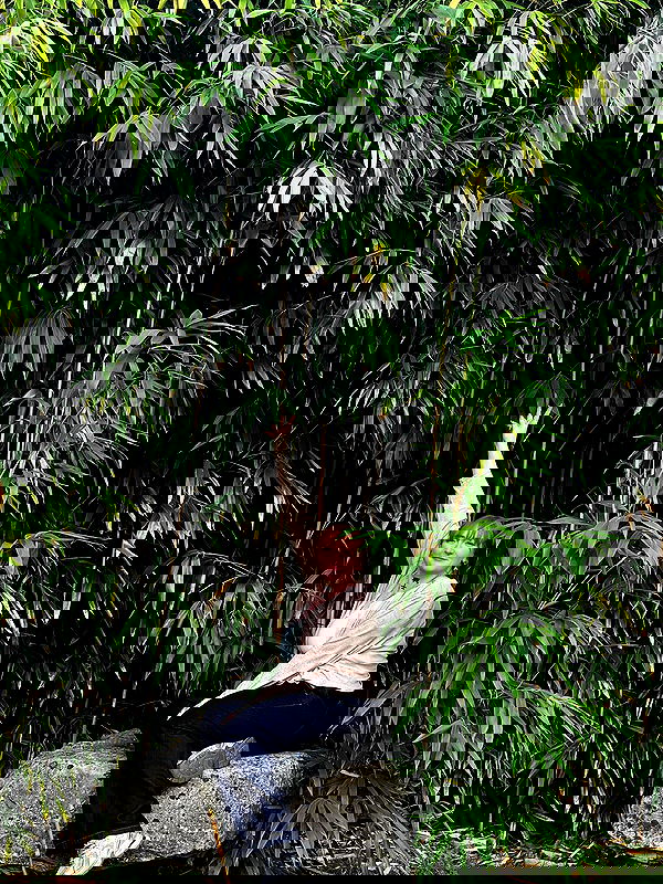 yoo.mon yoo.mon archive image