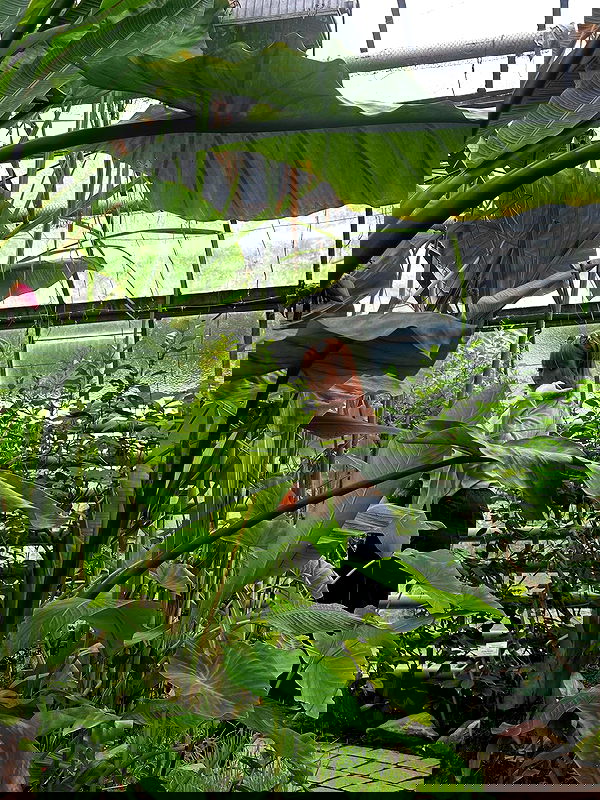 yoo.mon yoo.mon archive image