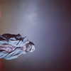yukisgarden Altpins Profile Picture