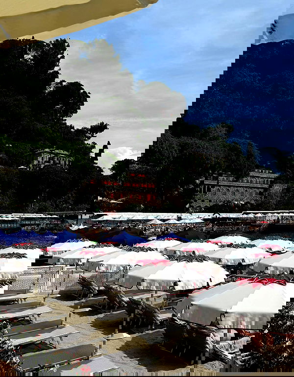 yuli.cohenn image ~ Altpins