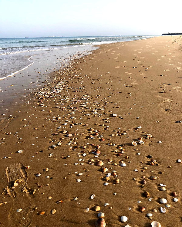 yulialam__ instagram image archive image