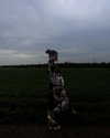 yulialam__ Altpins Profile Picture