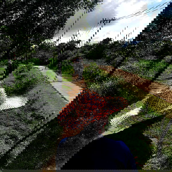 ywwyiiing image ~ Altpins