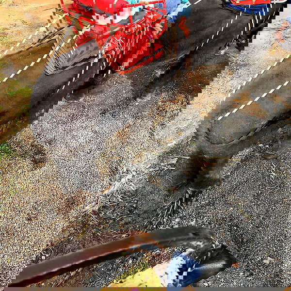 ywwyiiing image ~ Altpins