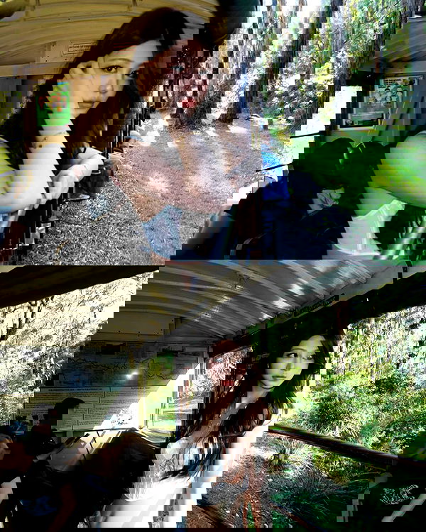 ywwyiiing image ~ Altpins