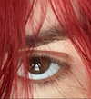zaperwave Altpins Profile Picture