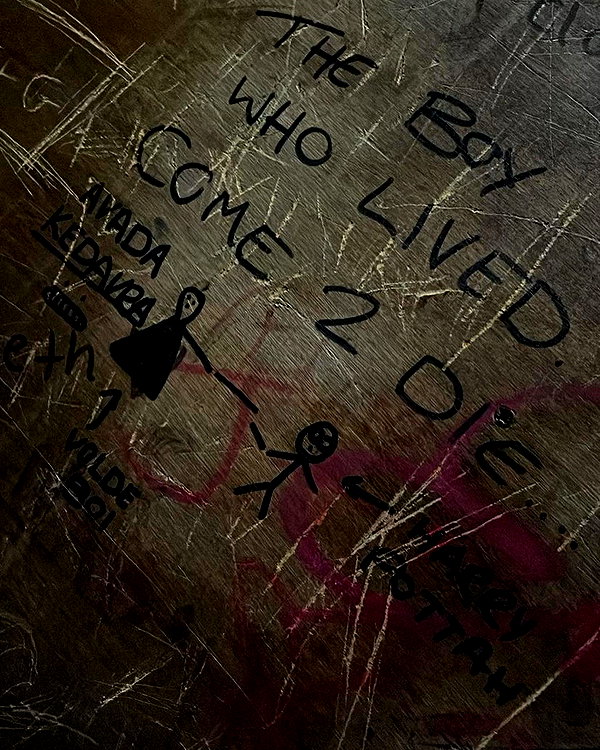 zaperwave instagram image archive image