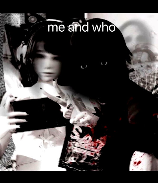 zaperwave instagram image archive image