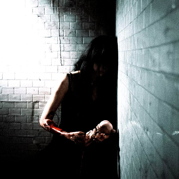 zaperwave instagram image archive image