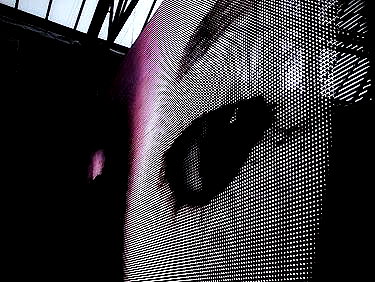 zaperwave instagram image archive image