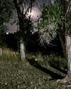 zia__jones Altpins Profile Picture