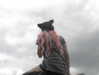 zia__jones Altpins Profile Picture