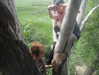 zia__jones Altpins Profile Picture