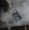 zira_merz Altpins Profile Picture