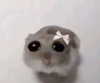 zira_merz Altpins Profile Picture
