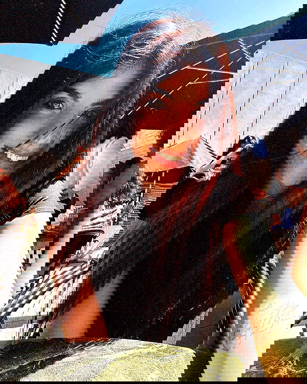 ziv.etach ziv.etach archive image