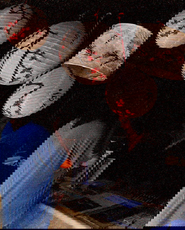 ziv.etach ziv.etach archive image