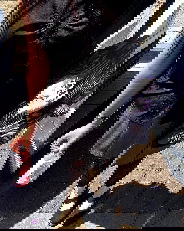 ziv.etach ziv.etach archive image