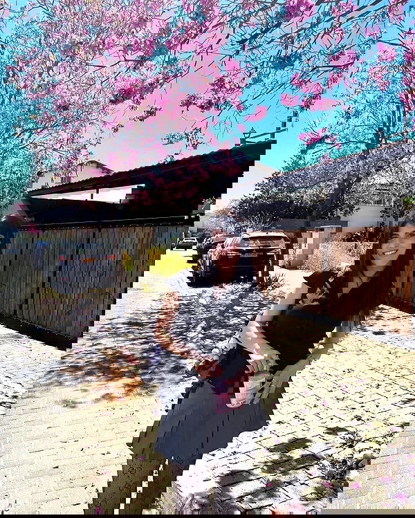 ziv.etach ziv.etach archive image