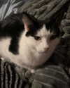 zmbigrl0_o Altpins Profile Picture