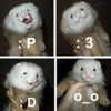 zmbigrl0_o Altpins Profile Picture