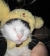 zmbigrl0_o Altpins Profile Picture