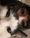 zmbigrl0_o Altpins Profile Picture