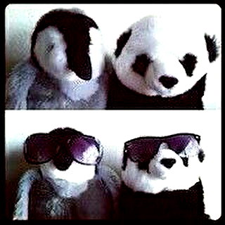 zmbigrl0_o instagram image archive image