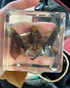 zmbigrl0_o Altpins Profile Picture