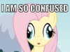 zmbigrl0_o Altpins Profile Picture