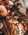 zoe.serena Altpins Profile Picture