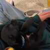 zoe.serena Altpins Profile Picture