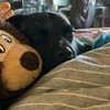 zoe.serena Altpins Profile Picture
