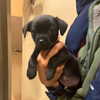 zoe.serena Altpins Profile Picture