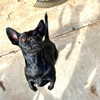 zoe.serena Altpins Profile Picture