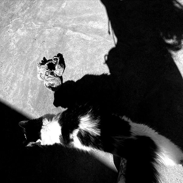 zoe.serena instagram image archive image