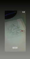 zohar_balaganim Altpins Profile Picture