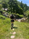 zombaieee Altpins Profile Picture