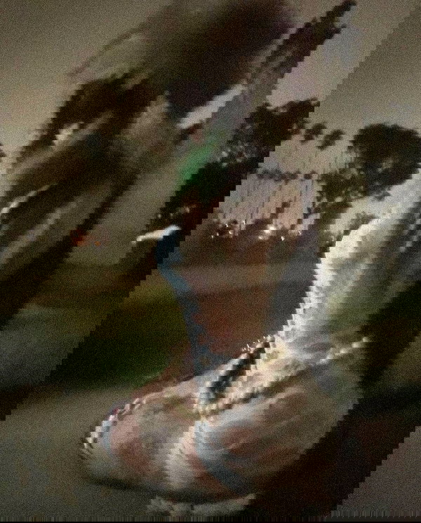 zommmbri image ~ Altpins