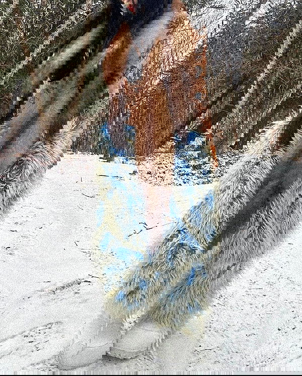 zommmbri image ~ Altpins