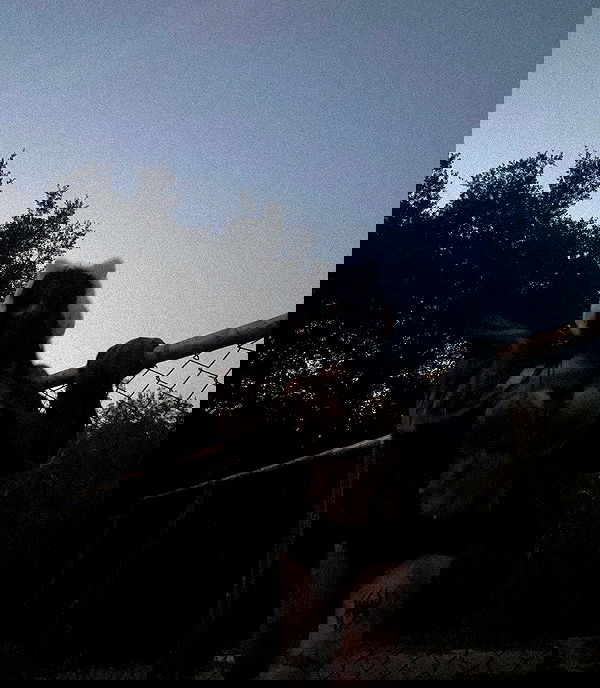 zommmbri image ~ Altpins