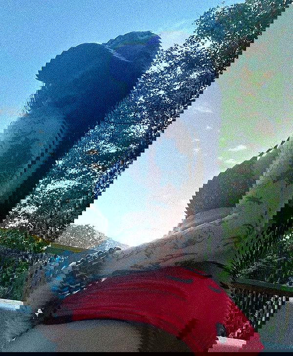 zommmbri image ~ Altpins