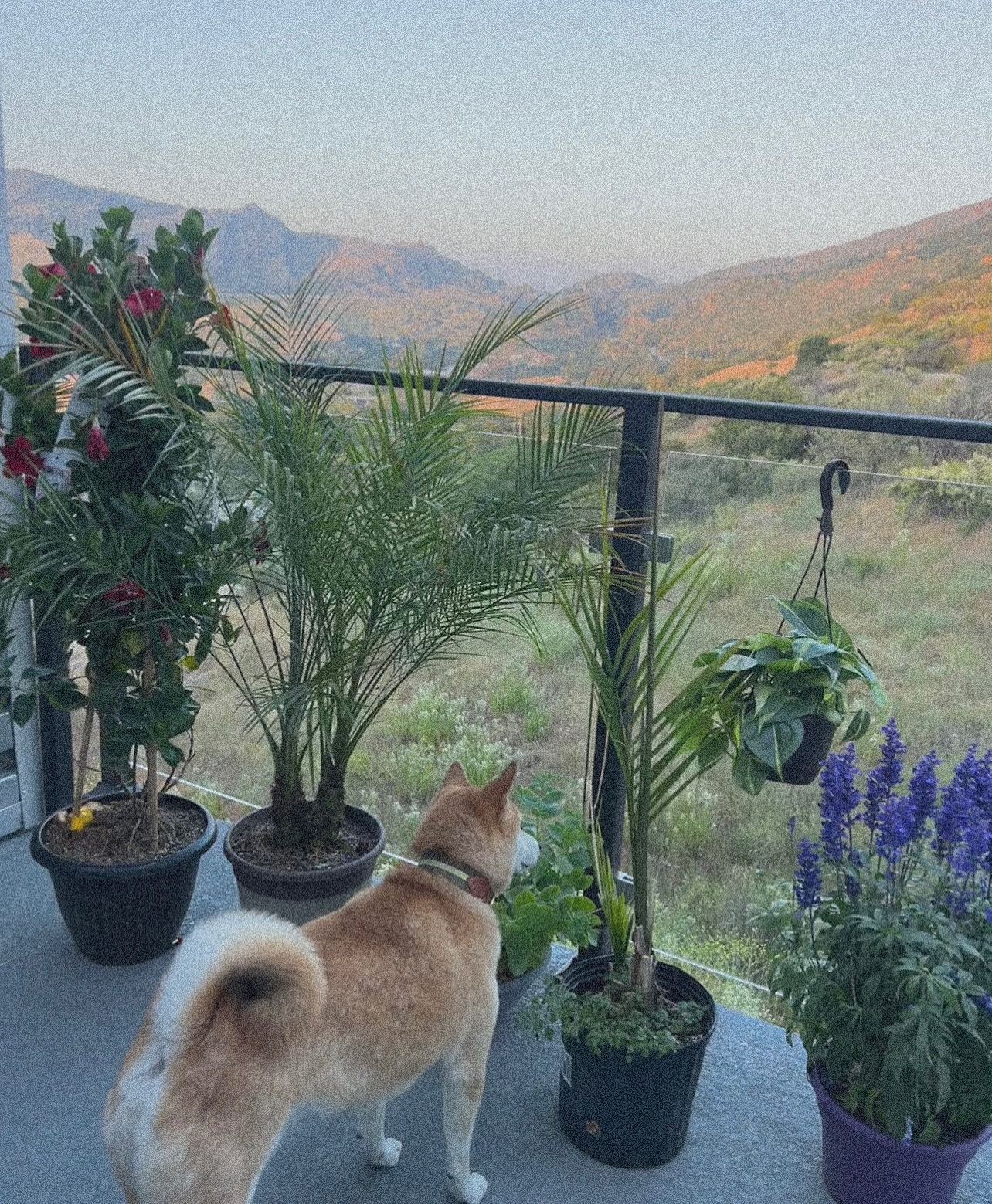 zommmbri instagram image archive image