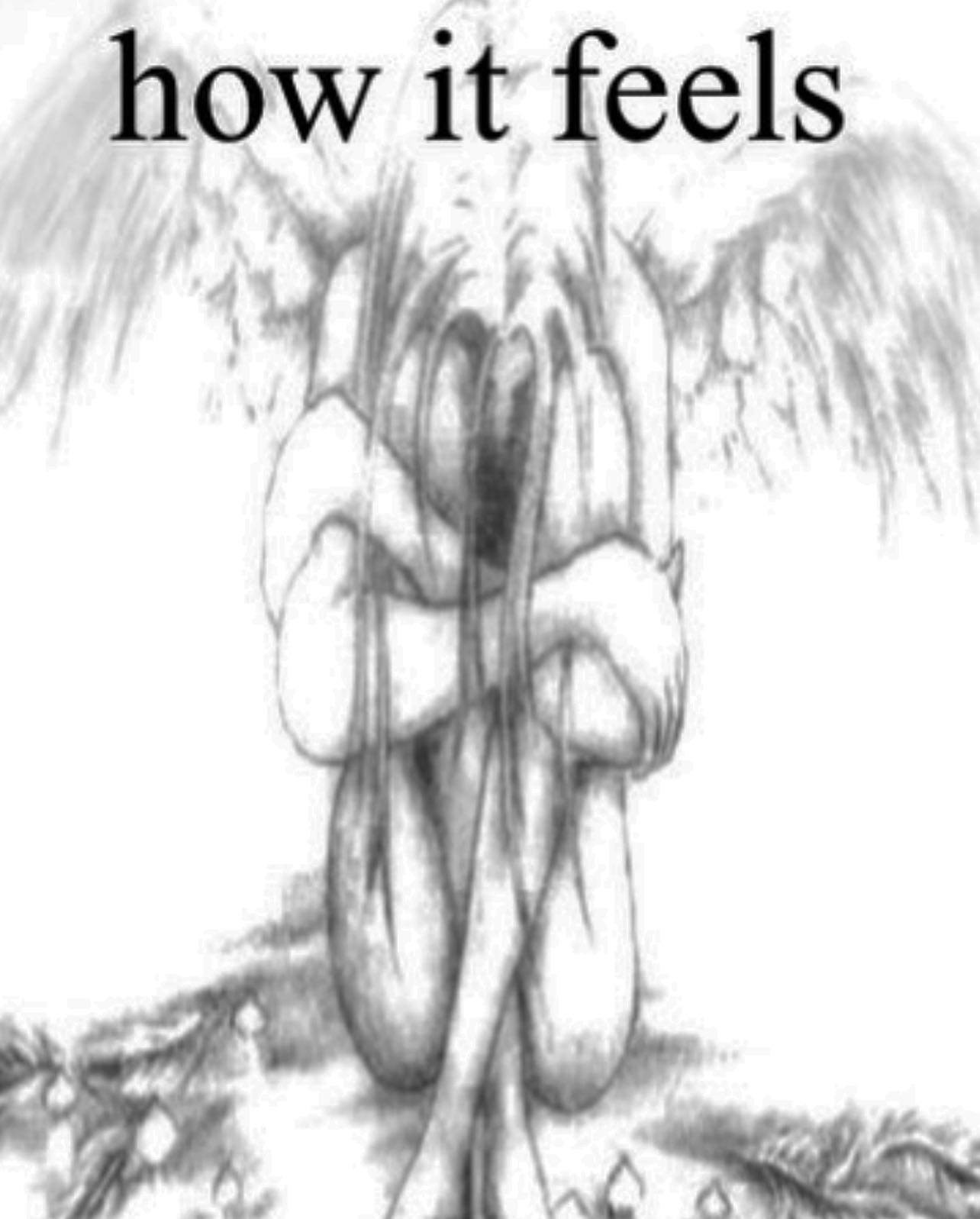 zommmbri instagram image archive image