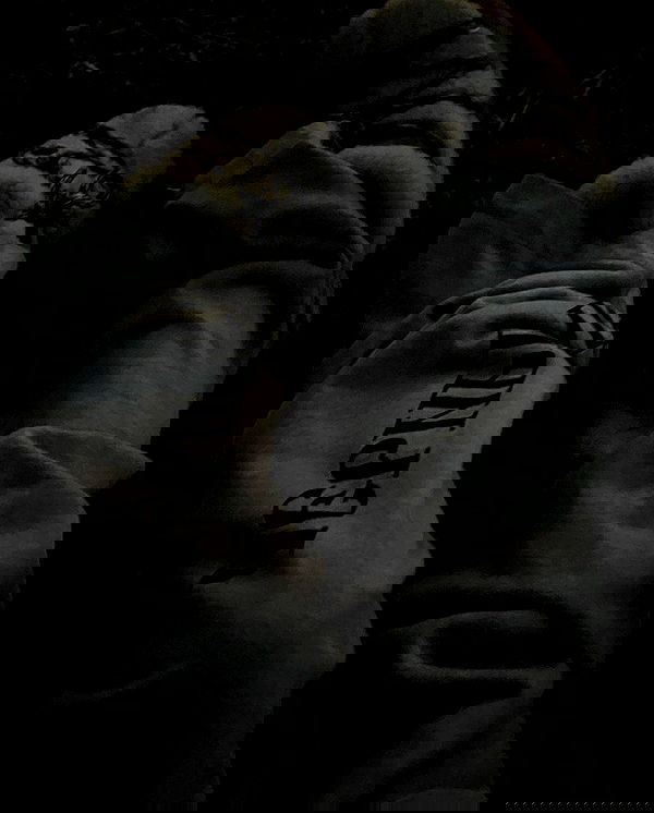 zommmbri image ~ Altpins