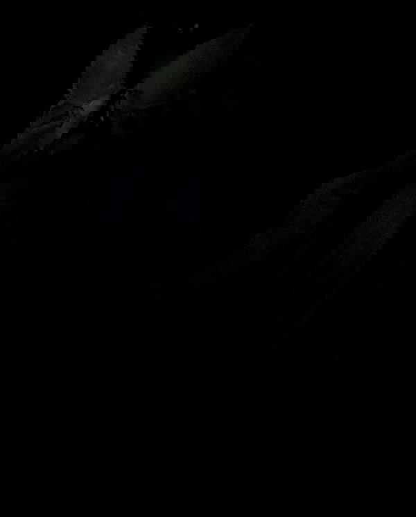 zommmbri image ~ Altpins