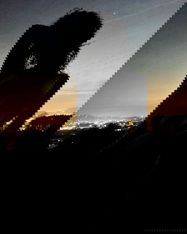 zommmbri image ~ Altpins