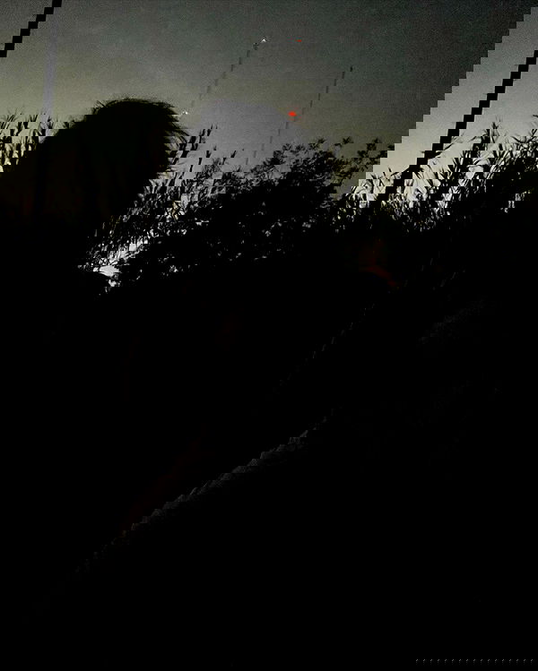 zommmbri image ~ Altpins